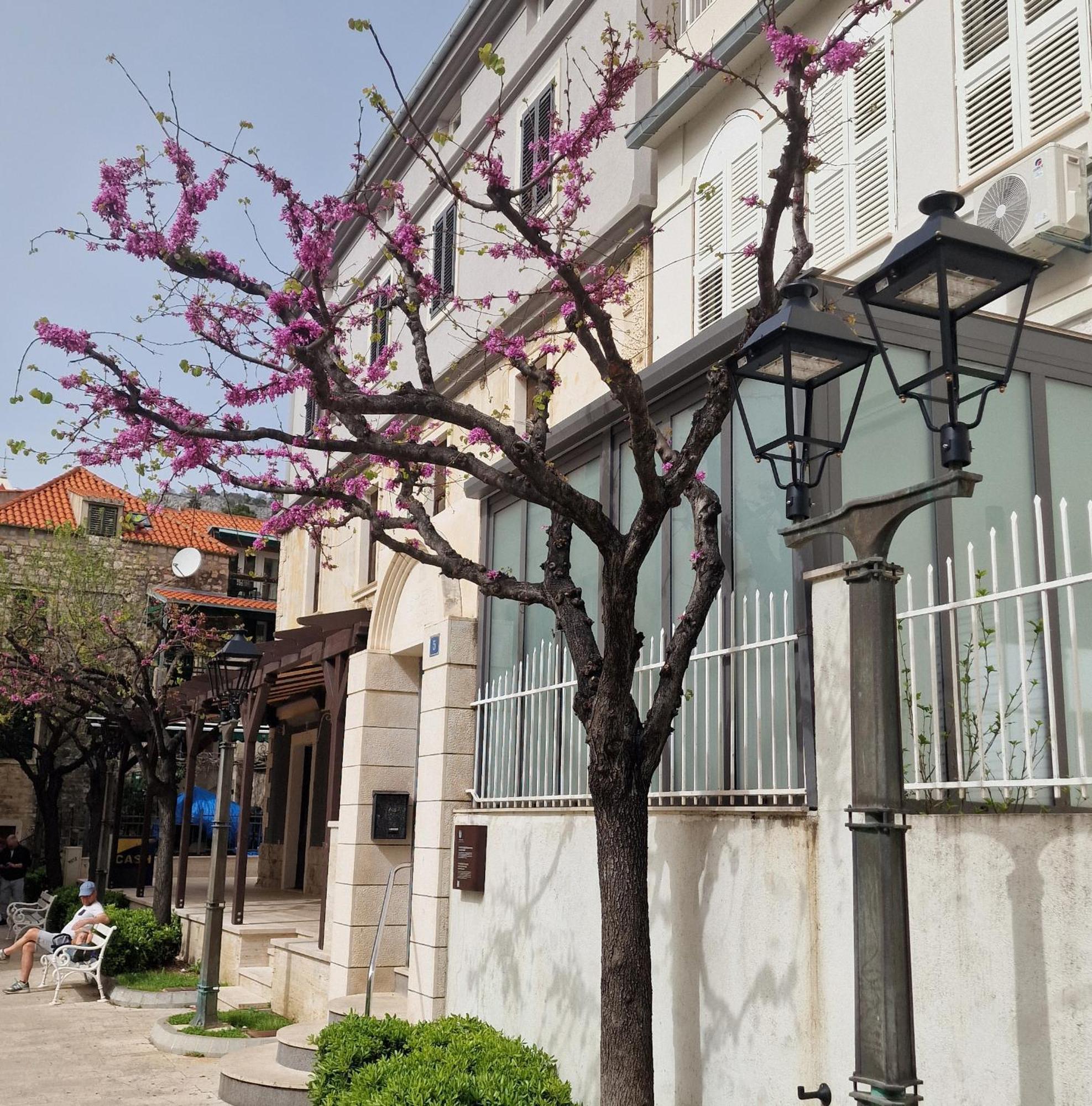 Old Town Apartment 奥米什 外观 照片