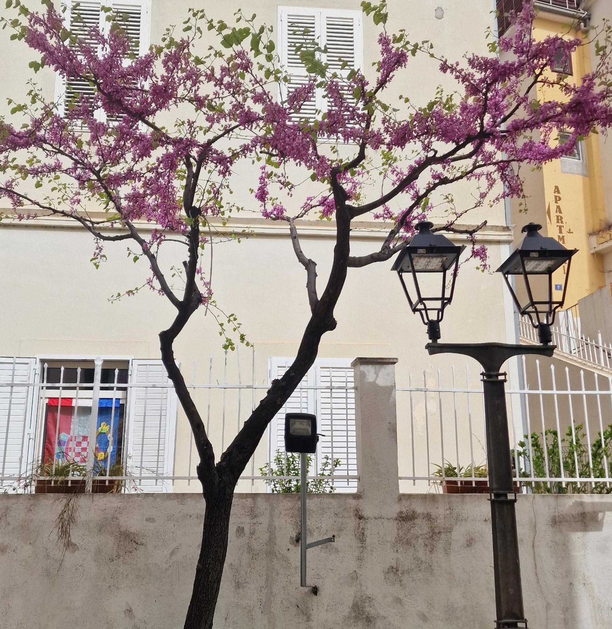 Old Town Apartment 奥米什 外观 照片